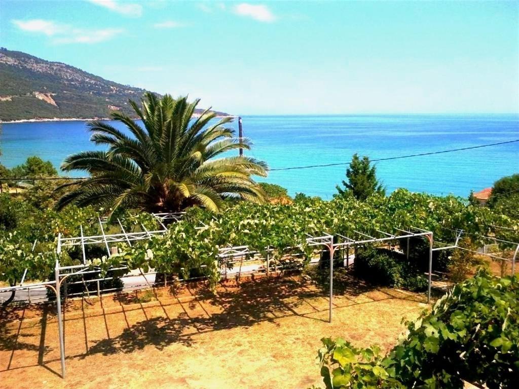 Hotel Kinira Esterno foto